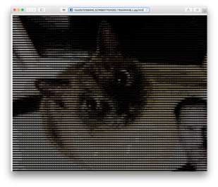 «Пасхалки» в Instagram и Facebook позволяют превратить фотографию в ASCII-арт