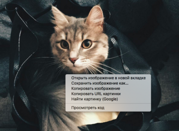 «Пасхалки» в Instagram и Facebook позволяют превратить фотографию в ASCII-арт