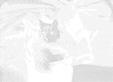 «Пасхалки» в Instagram и Facebook позволяют превратить фотографию в ASCII-арт