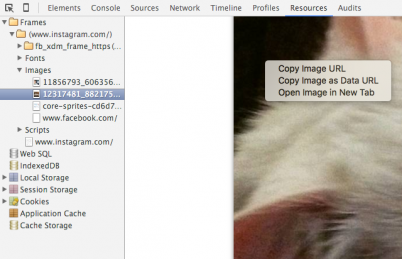 «Пасхалки» в Instagram и Facebook позволяют превратить фотографию в ASCII-арт