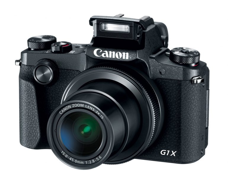 Canon PowerShot G1 X Mark III       -    APS-C   $1299