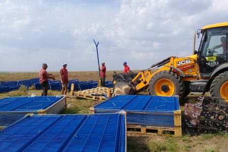 Канадская компания «TIU Canada» начала строительство солнечной электростанции на 13,5 МВт в Николаевской области Канадская компания «TIU Canada» начала строительство солнечной электростанции на 13,5 МВт в Николаевской области