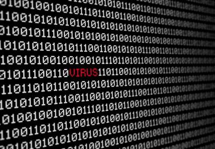 В UNIT.City открылась бесплатная школа «белых» хакеров Cyber School В UNIT.City открылась бесплатная школа «белых» хакеров Cyber School