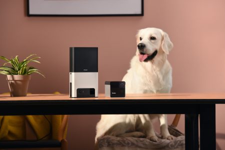 Умные камеры для животных Petcube Bites и Play получили улучшенные камеры, поддержку видео звонков и ассистента Alexa Умные камеры для животных Petcube Bites и Play получили улучшенные камеры, поддержку видео звонков и ассистента Alexa