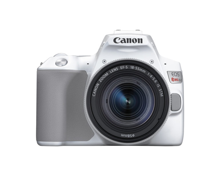 Canon     EOS Rebel SL3   4K  $600