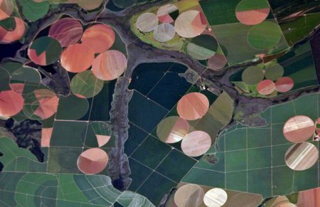 Earth Observing System предложила украинским аграриям передовую ИИ-платформу для эффективного мониторинга земельных угодий Earth Observing System предложила украинским аграриям передовую ИИ-платформу для эффективного мониторинга земельных угодий