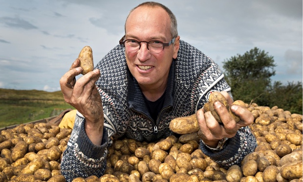 salt-tolerant potatoes