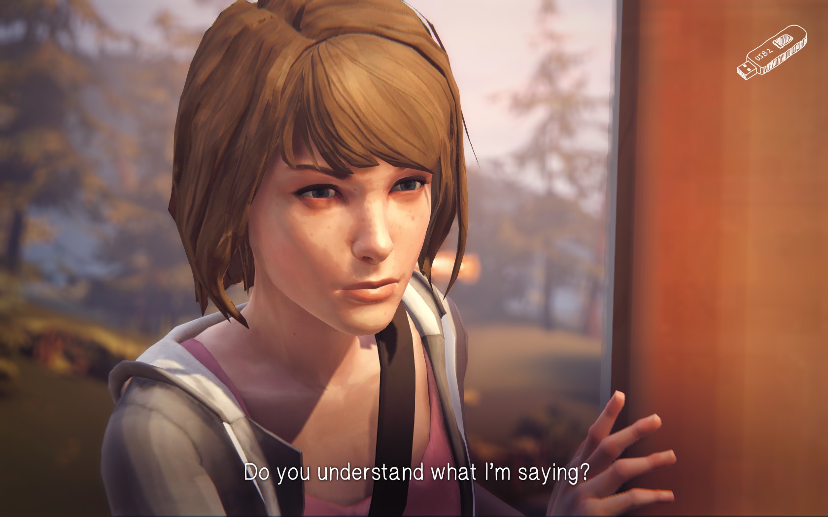 Life Is Strange: истории нашего городка