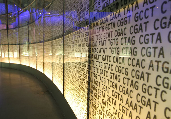 dna-wall-johngoode-flickr