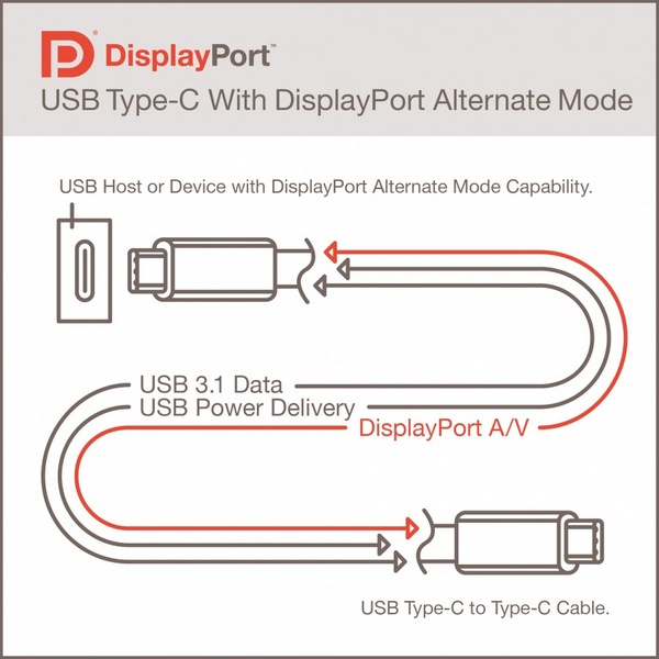 USB_Type-C_Display_Port1