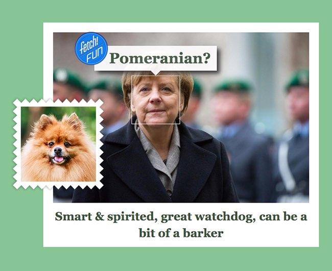Microsoft запустила сервис What-dog.net для определения породы собак по фото, но его можно использовать и на людях