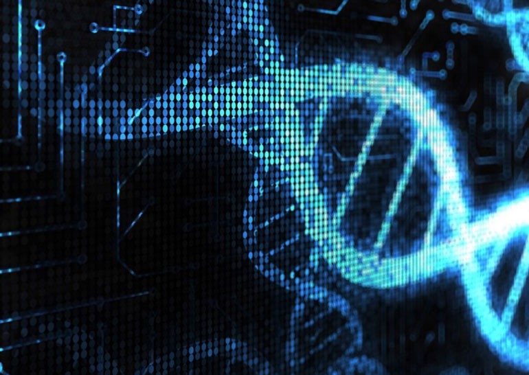 Биоинженеры разработали способ борьбы с раком путём программирования ДНК бактерий