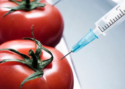 Завершено самое масштабное исследование влияния ГМО на здоровье человека
