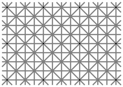 В сети набирает популярность оптическая иллюзия с 12 точками, которые невозможно увидеть одновременно