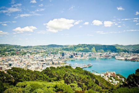 Новая Зеландия предлагает бесплатное путешествие для востребованных IT-специалистов