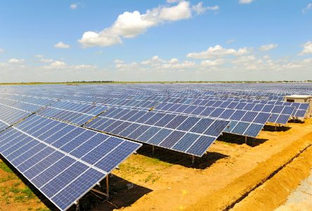 В Запорожской области на месте бывшей птицефабрики построят солнечную электростанцию мощностью 13 МВт