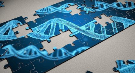 «Вирусы на базе ДНК»: Ученые доказали возможность встраивания вредоносного кода в генетическую цепочку