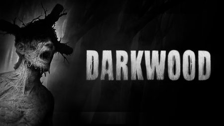 Разработчики новейшего успешного хоррора Darkwood выложили полную версию игры на The Pirate Bay, чтобы прекратить спекуляцию ключами в даркнете