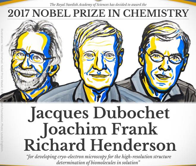 Нобелевскую премию по химии присудили за развитие криоэлектронной микроскопии