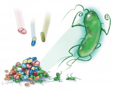 «Ситуация тяжелая»: ВОЗ заявила о повышении устойчивости к антибиотикам во всем мире
