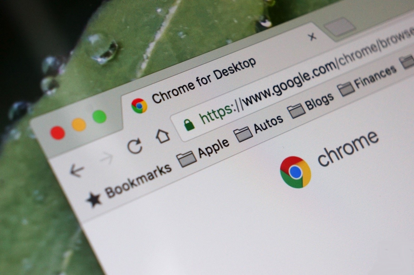 В Google Chrome появилась поддержка беспарольной аутентификации на сайтах по стандарту WebAuthn