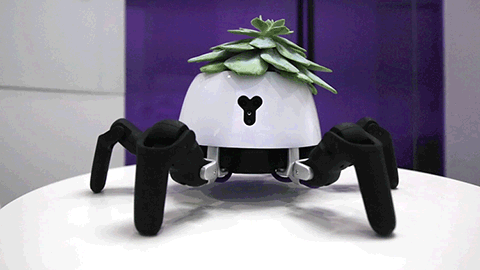 Этот робот-краб умеет заботиться о растениях