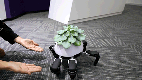Этот робот-краб умеет заботиться о растениях