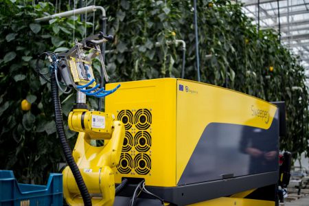 Израильские ученые представили робота Sweeper, предназначенного для сбора урожая сладкого перца