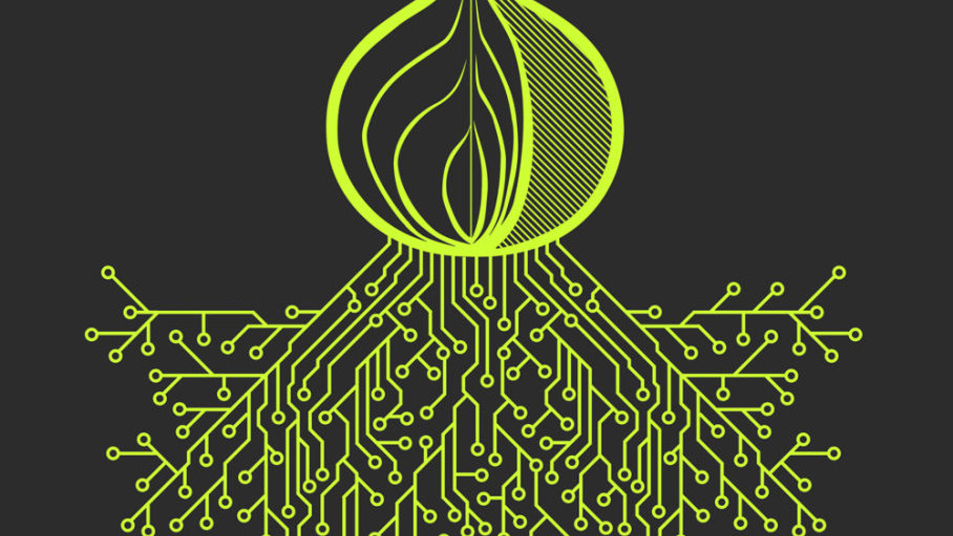 Tor браузер прокси tor configuration browser gidra
