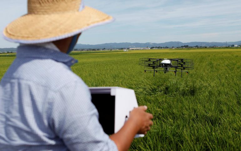 Японские фермеры начнут засеивать поля с помощью дронов