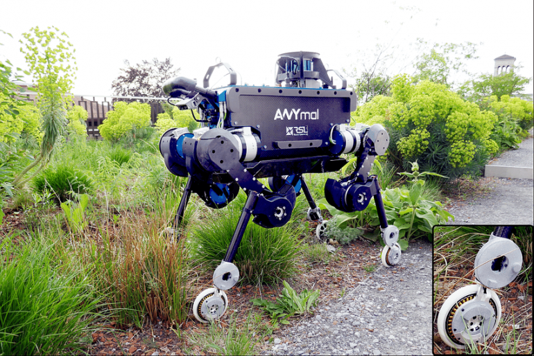 ANYmal - четвероногий робот с колесами на концах ног