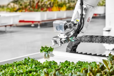 Стартап Iron Ox открыл в США инновационную роботизированную ферму