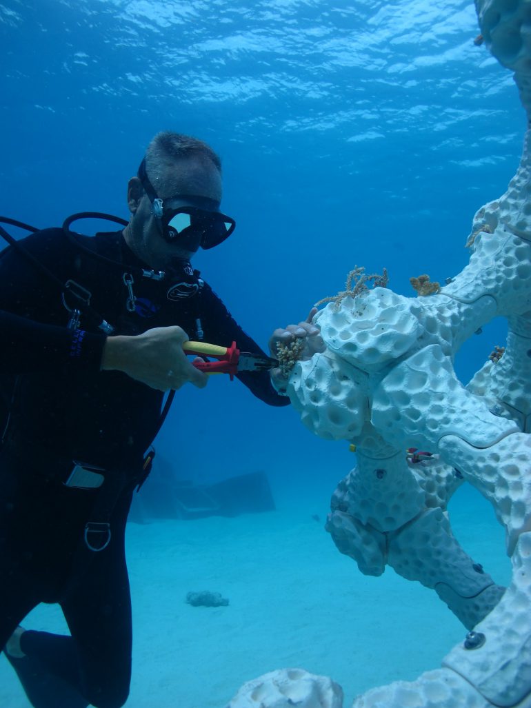 Ученые напечатают коралловые рифы, чтобы спасти гибнущую экосистему