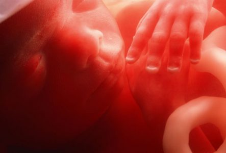Китайские исследователи объявили о рождении первых генетически модифицированных близнецов