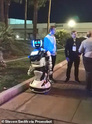 Tesla на автопилоте сбила российского робота Promobot на выставке CES 2019