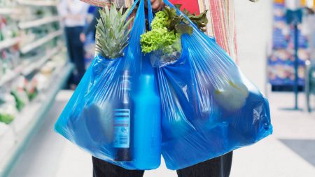 В Украине могут запретить пластиковые пакеты с 2021 года, в Верховную Раду уже внесли соответствующий законопроект