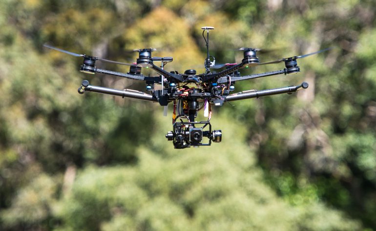 Австралийские ученые начали использовать дроны для подсчета количества коал