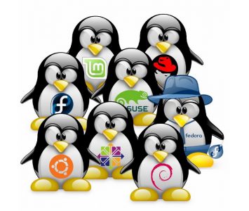 Вышло новое ядро Linux 5.0