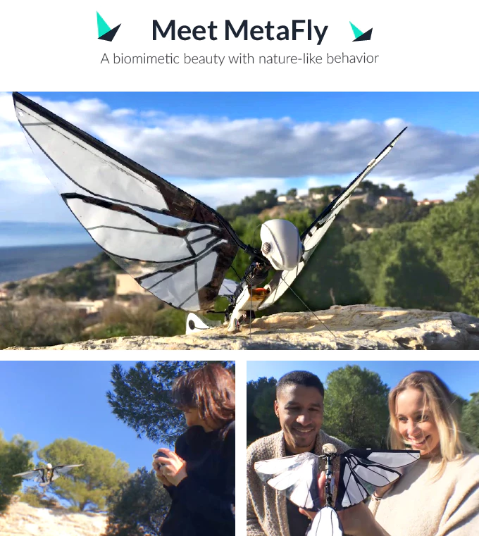 MetaFly - робонасекомое от французского авиаинженера Эдвина Ван Рюймбека
