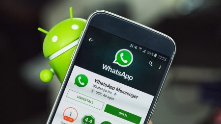 В WhatsApp появилась защита от включения в группы незнакомыми людьми
