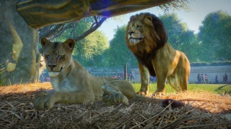 Студия Frontier Developments анонсировала симулятор зоопарка Planet Zoo