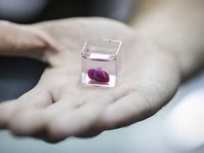 Израильские исследователи впервые напечатали на 3D-принтере уменьшенную копию человеческого сердца, используя собственные клетки пациента