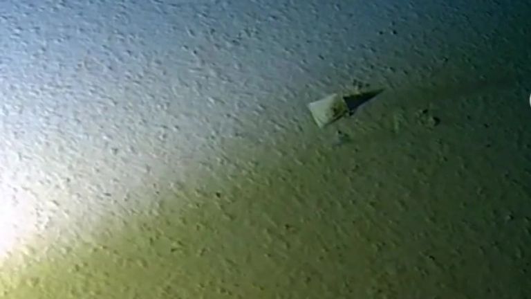 Исследователи обновили рекорд погружения на дно Марианской впадины и обнаружили там... полиэтиленовый пакет и фантики