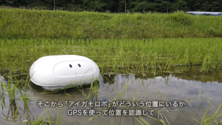 Робобаламут, созданный японским инженером из Nissan, защитит рисовые террасы от сорняков