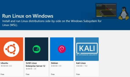 Microsoft сдержала обещание. Свежая тестовая сборка Windows 10 под номером 18917 (20H1) получила встроенное ядро Linux
