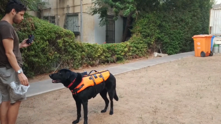 Израильские инженеры разработали «пульт дистанционного управления собакой»