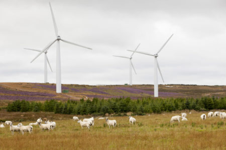Ветроэлектростанции Шотландии вырабатывают почти вдвое больше энергии, чем потребляют все дома в стране