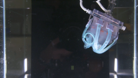 Американские инженеры разработали робоманипулятор, способный захватить медузу, не причинив ей вреда