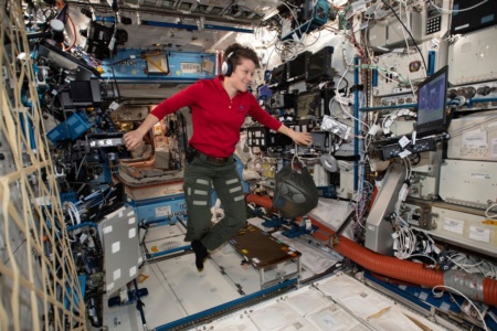«Первое преступление в космосе». Астронавта NASA Энн Макклейн подозревают в незаконной слежке за бывшей женой с борта МКС