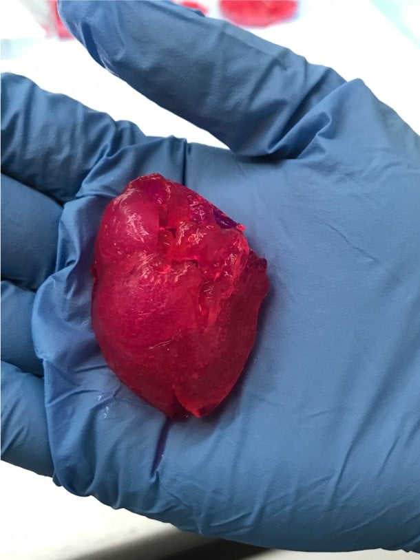 Стартап Biolife4D напечатал работоспособное мини-сердце